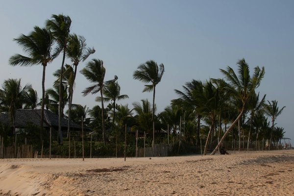 Voyage et Fidélité : Découvrez des Offres Exclusives Inoubliables pour Voyager Autrement